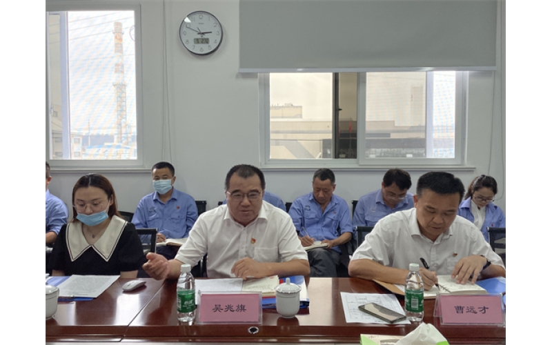 海南控股直属机关党委副书记吴兆旗同志到k8凯发官网调研检查“6+1”事情